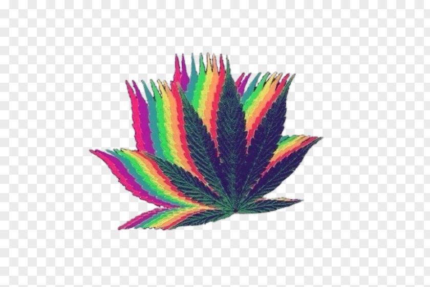 Cannabis Smoking Desktop Wallpaper PNG