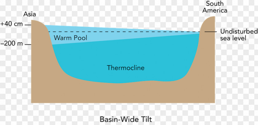 Color Level Diagram Pacific Ocean Oceanic Basin Thermocline Sea PNG