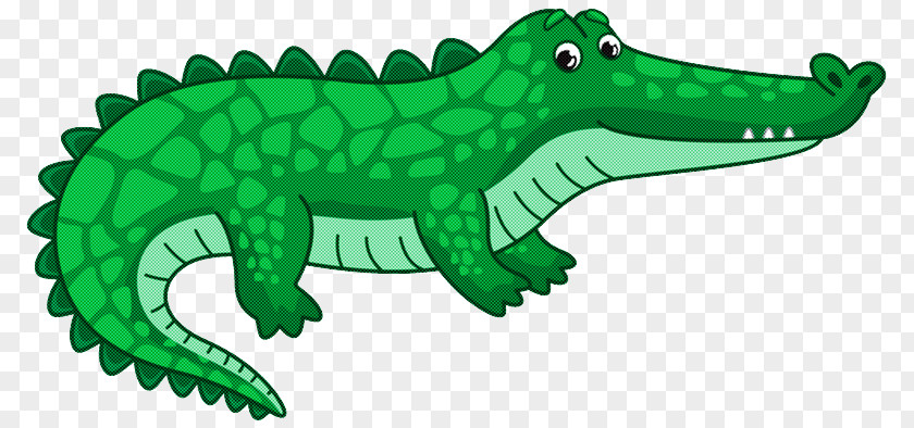 Crocodiles Alligators Certification Wimos Ag PNG