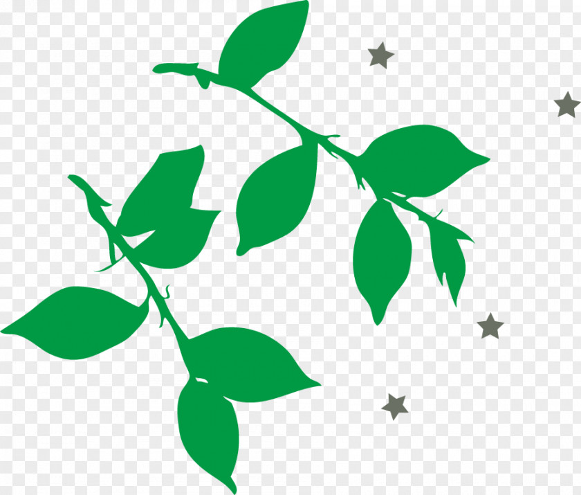Green Leaves Vector Material Leaf Branch PNG