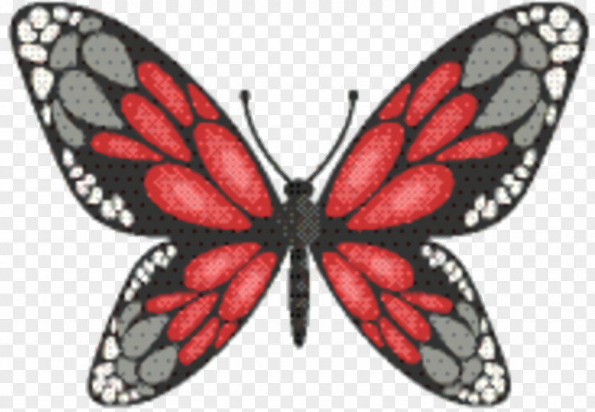 Lycaenid Viceroy Butterfly Tiger Cartoon PNG