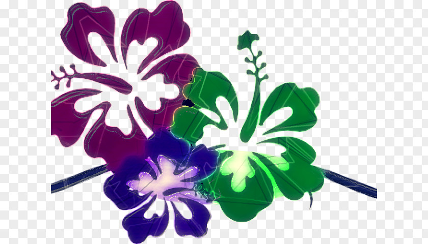 Mallow Family Hibiscus Flowering Plant Flower Purple Petal PNG