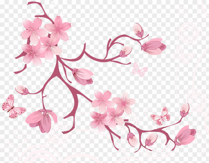 Pedicel Spring Cherry Blossom PNG