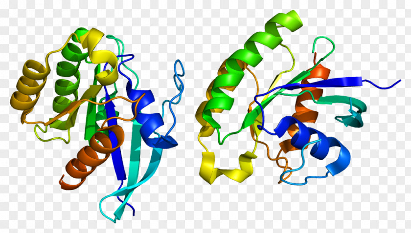 RALA Ras Subfamily Protein GTPase Gene PNG