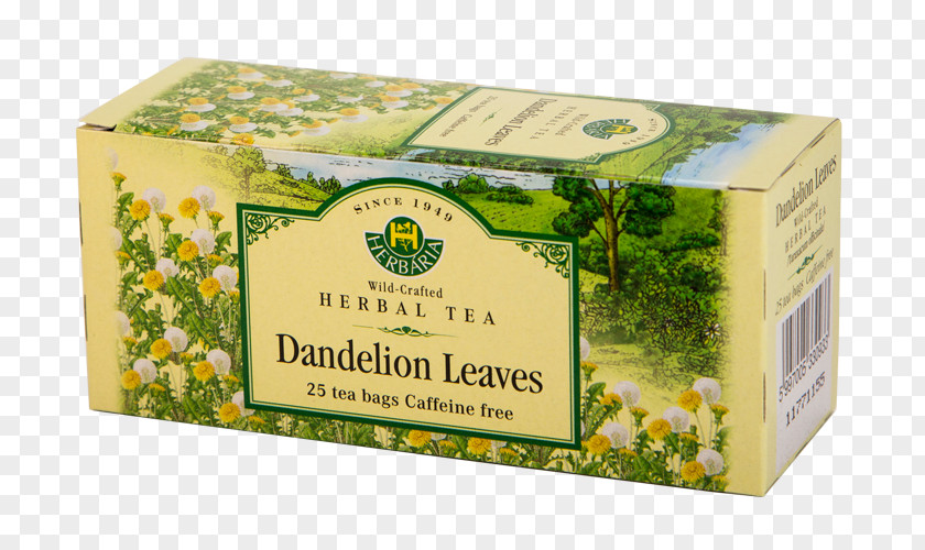 Tea White Flowering English Breakfast Herb PNG