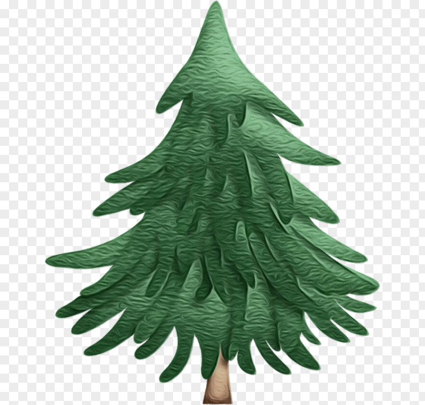 Woody Plant Evergreen Christmas Tree PNG