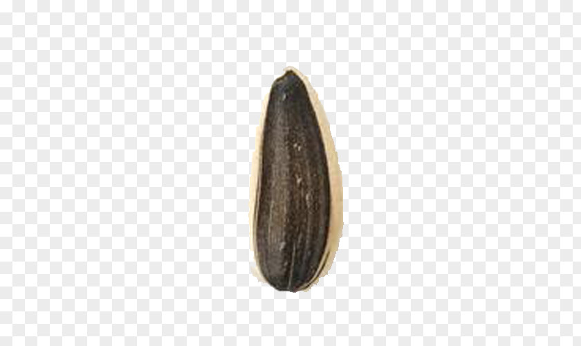 A Melon Nut Brown PNG