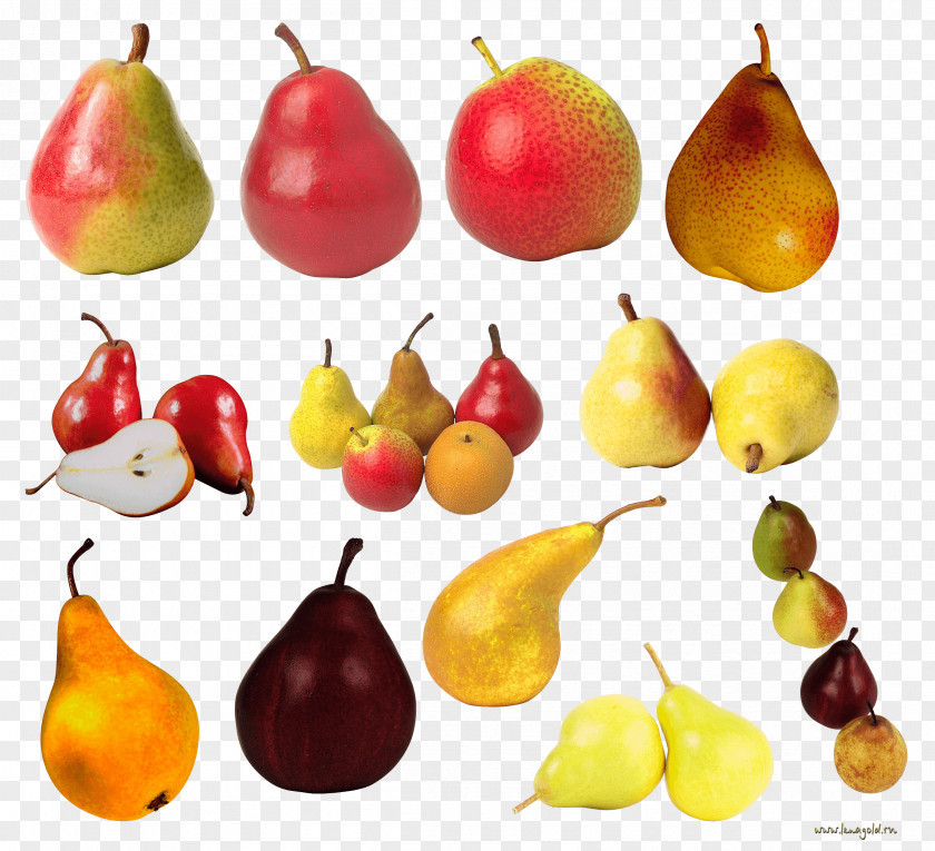 Apple Vegetarian Cuisine Asian Pear Fruit European Pyrus Nivalis PNG