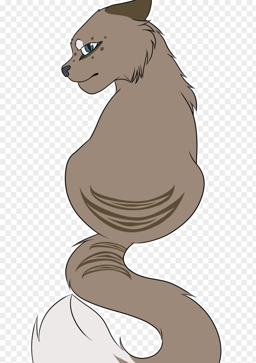 Bed Drawing Cat Dog Bear Macropodidae Mammal PNG