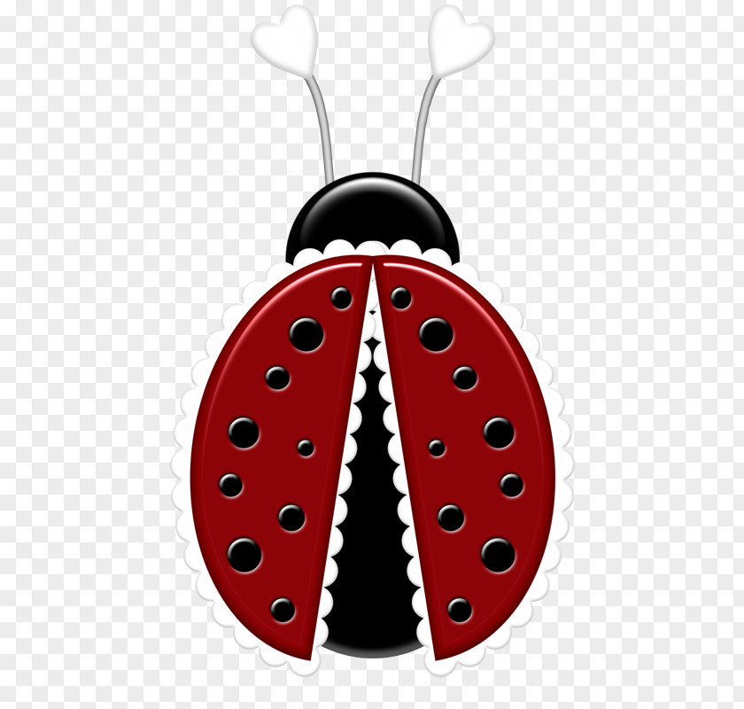 Beetle Pest Ladybird PNG