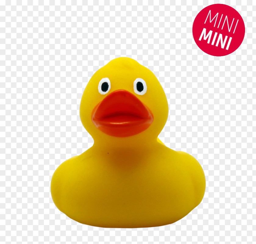 Duck Rubber Yellow Amazonetta Toy PNG