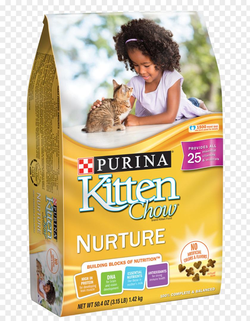 Kitten Purina Chow Nurture Dry Cat Food Nestlé PetCare Company PNG