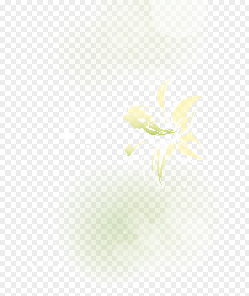 Leaf Petal Desktop Wallpaper Close-up Computer PNG