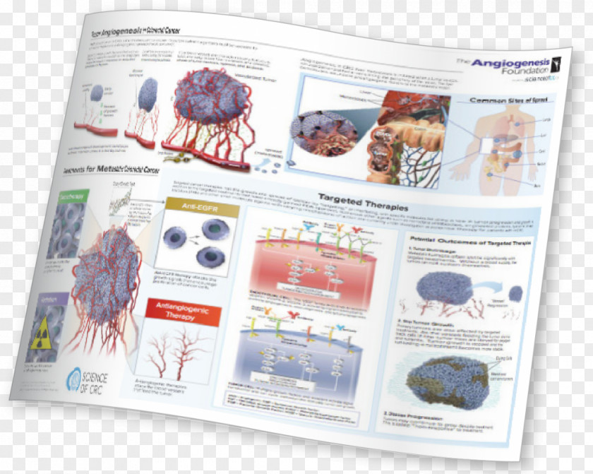 Paper Infographic Organism Brand Brochure PNG