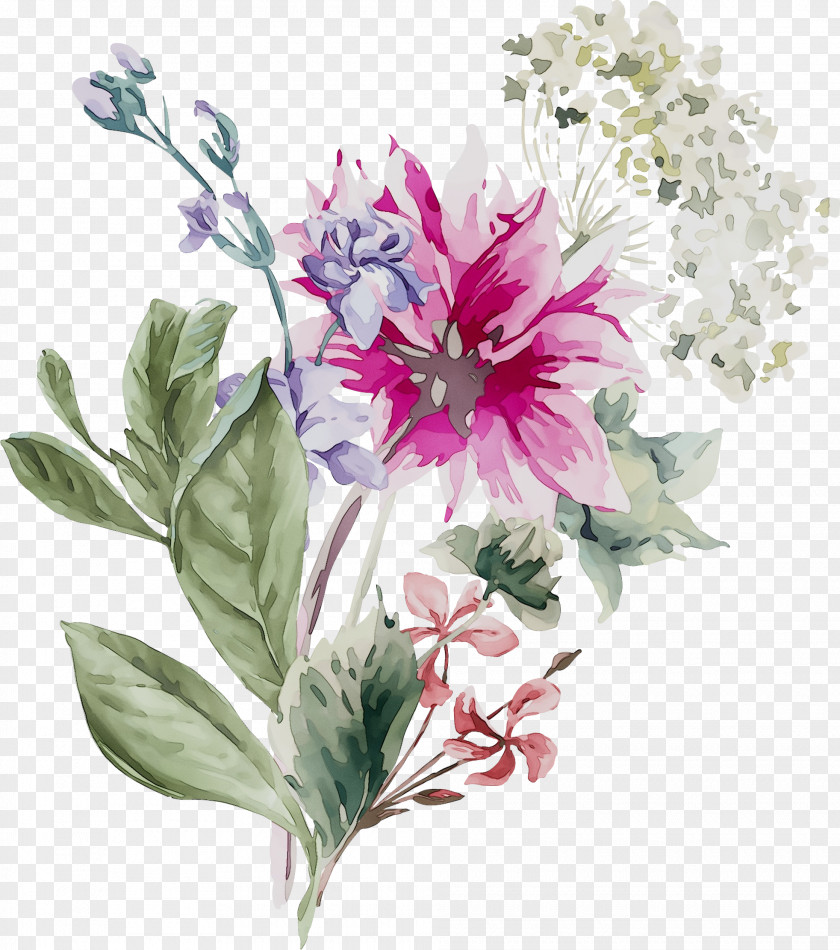 Floral Design Vector Graphics Flower Bouquet Cut Flowers PNG