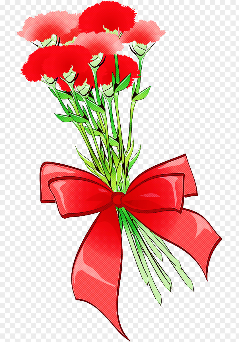 Flower Red Cut Flowers Plant Petal PNG