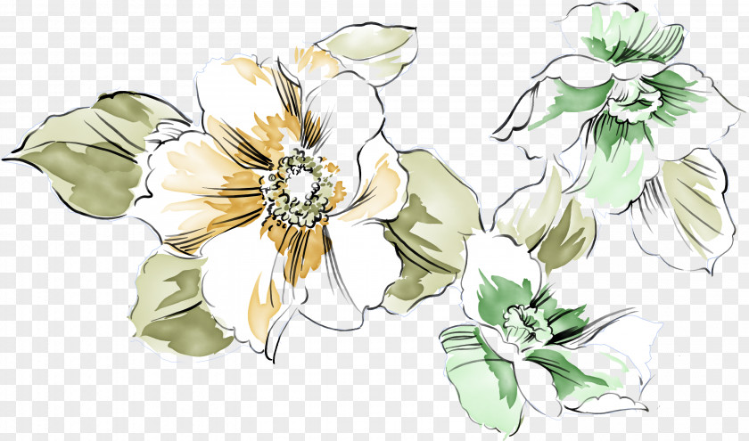 Flowers,flowers Drawing Petal Painting Illustration PNG