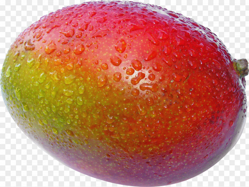 Mango Salsa Fruit Food Gift Baskets Keitt PNG