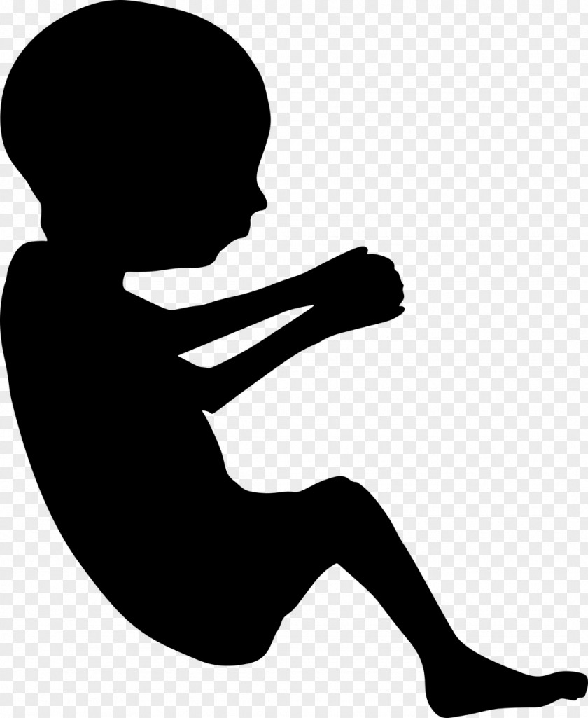 Pregnancy Fetus Infant Silhouette Clip Art PNG