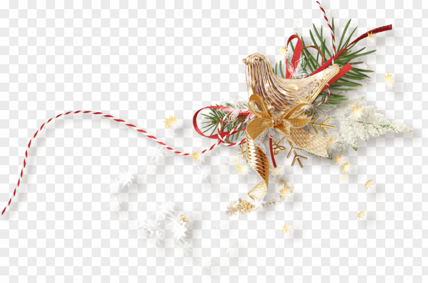Jewellery Christmas Ornament Clothing Accessories PNG