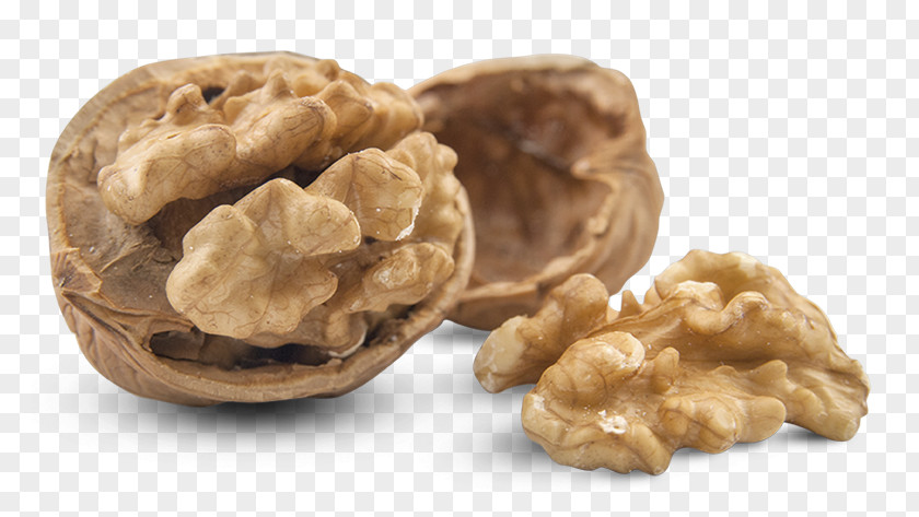 Walnut Hazelnut Almond PNG