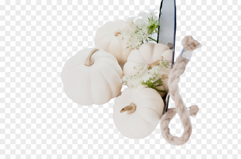 Artificial Flower Magnolia PNG