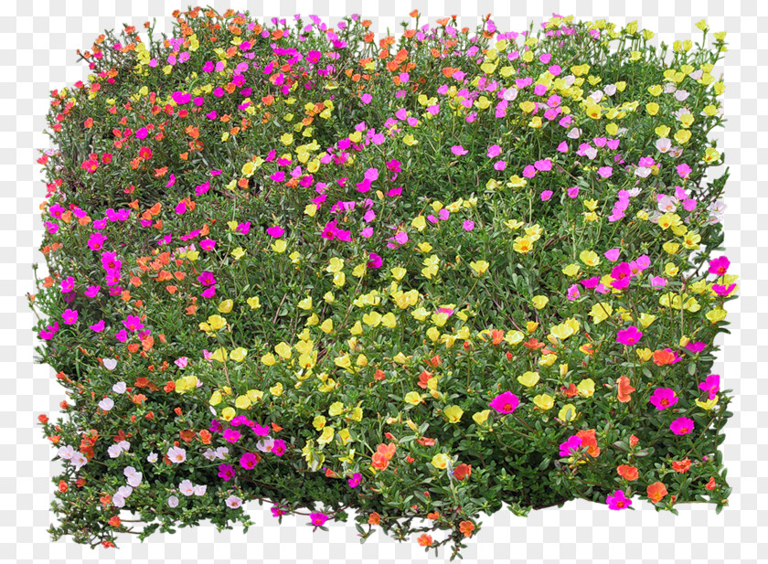 Bed Top View Flower Texture Mapping PNG