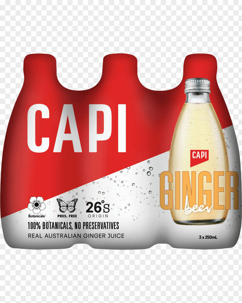 Drink Ginger Beer Brand Beverages Flavor PNG