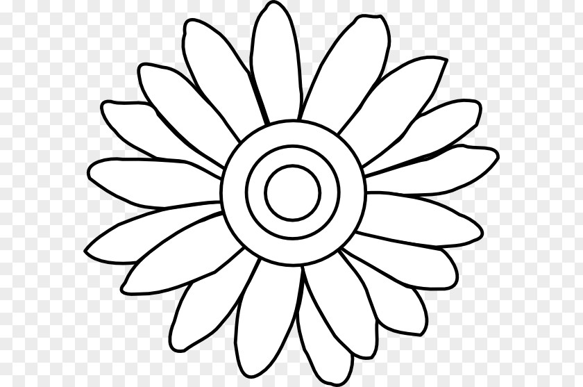 Magnolia Vector Flower Drawing Common Daisy Clip Art PNG