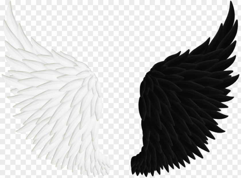Black And White Wings Angel Clip Art PNG