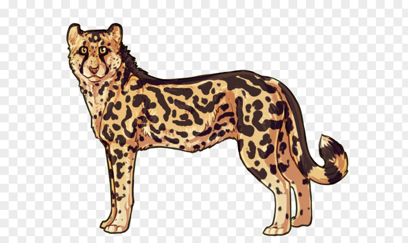 Cheetah Felidae Cat Northwest African Leopard Ocelot PNG