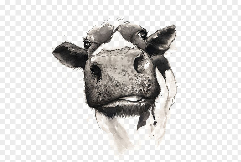 Drawing Cow Cattle Watercolor Painting PNG