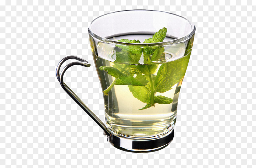 Kuding Herb Green Tea Leaf PNG
