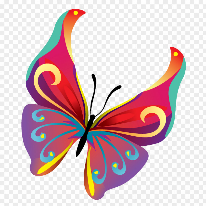 Butterflies Vector Pic Butterfly Clip Art PNG
