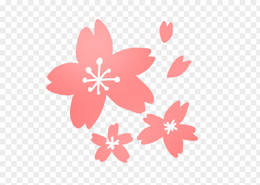 Co Worker Cherry Blossom Book Illustration PNG