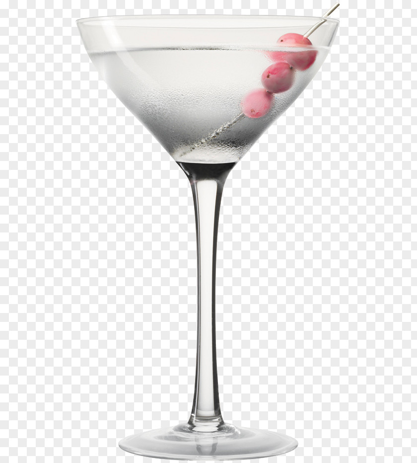 Cocktail Garnish Cosmopolitan Wine Glass Martini PNG