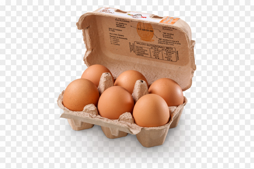 Blister Egg Chicken Pasta Bonbon Case PNG