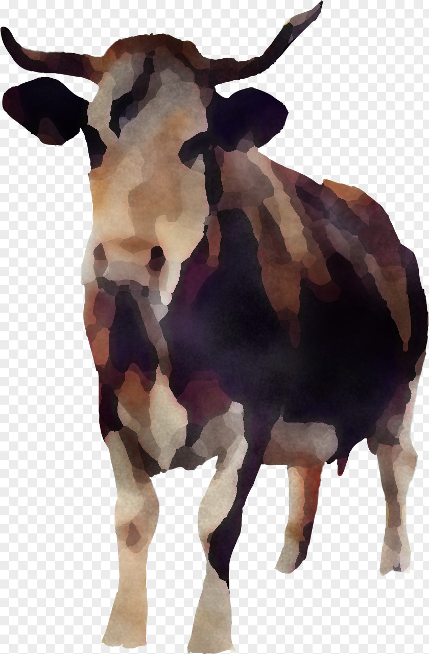 Bovine Dairy Cow Horn Cow-goat Family Bull PNG