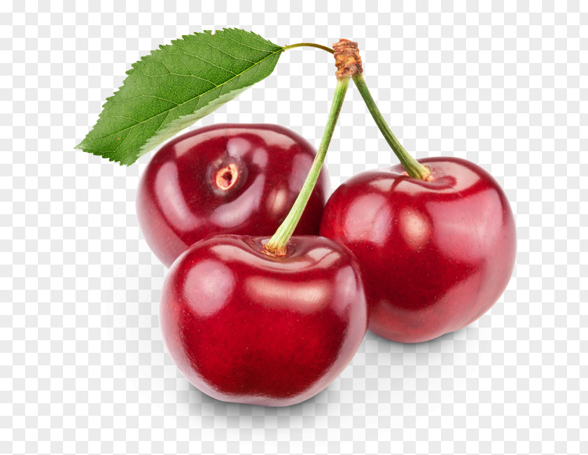 Cherry Clip Art PNG