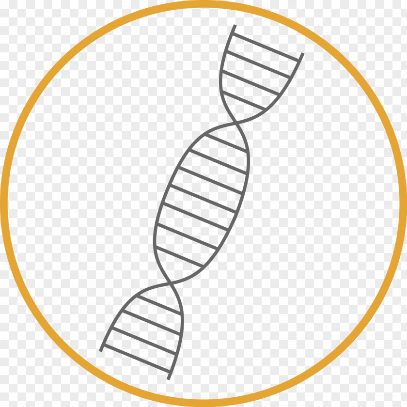 Dna Day Weidevenne Drawing Clip Art PNG