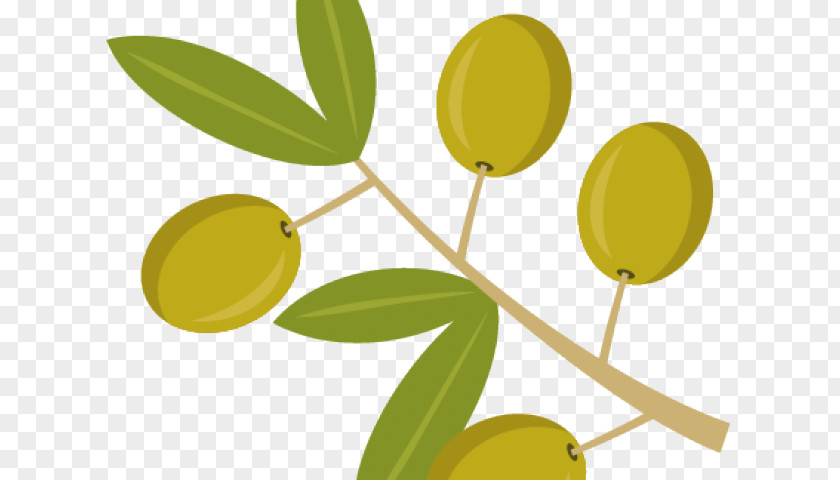 Flowering Plant Flower Olive Leaf Yellow Tree PNG