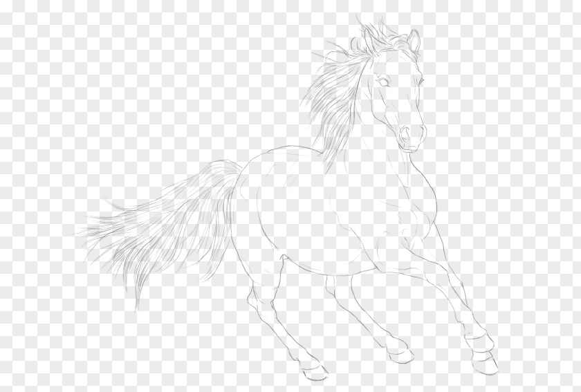 Journal Tail Footer Line Mustang .to Stallion Pack Animal Sketch PNG