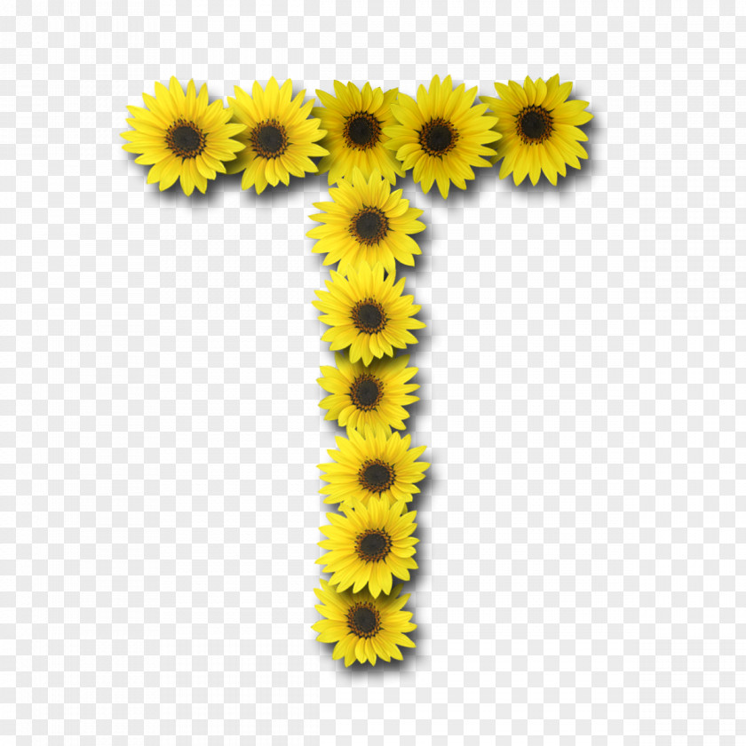 L Common Sunflower Letter Alphabet PNG