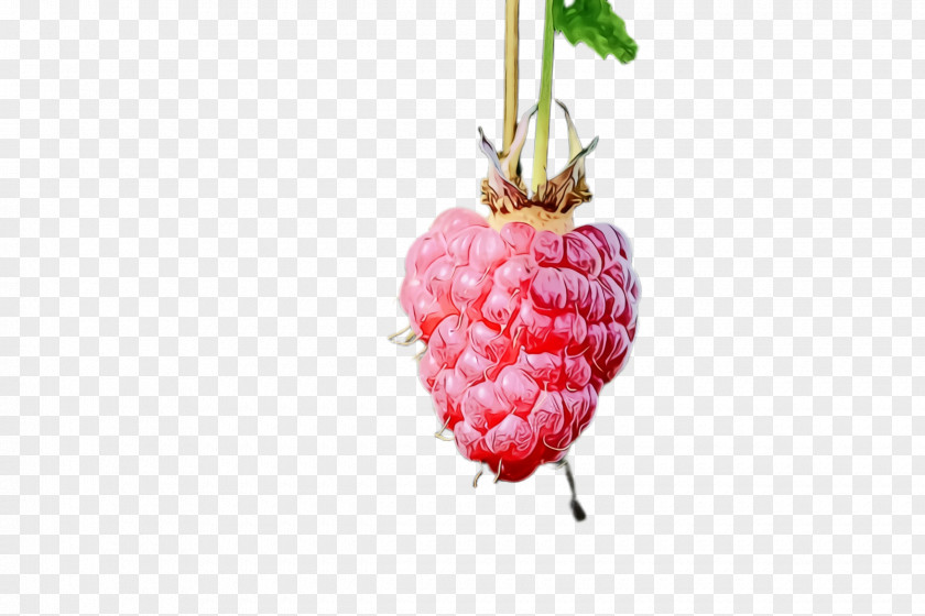 Pineapple Strawberry PNG