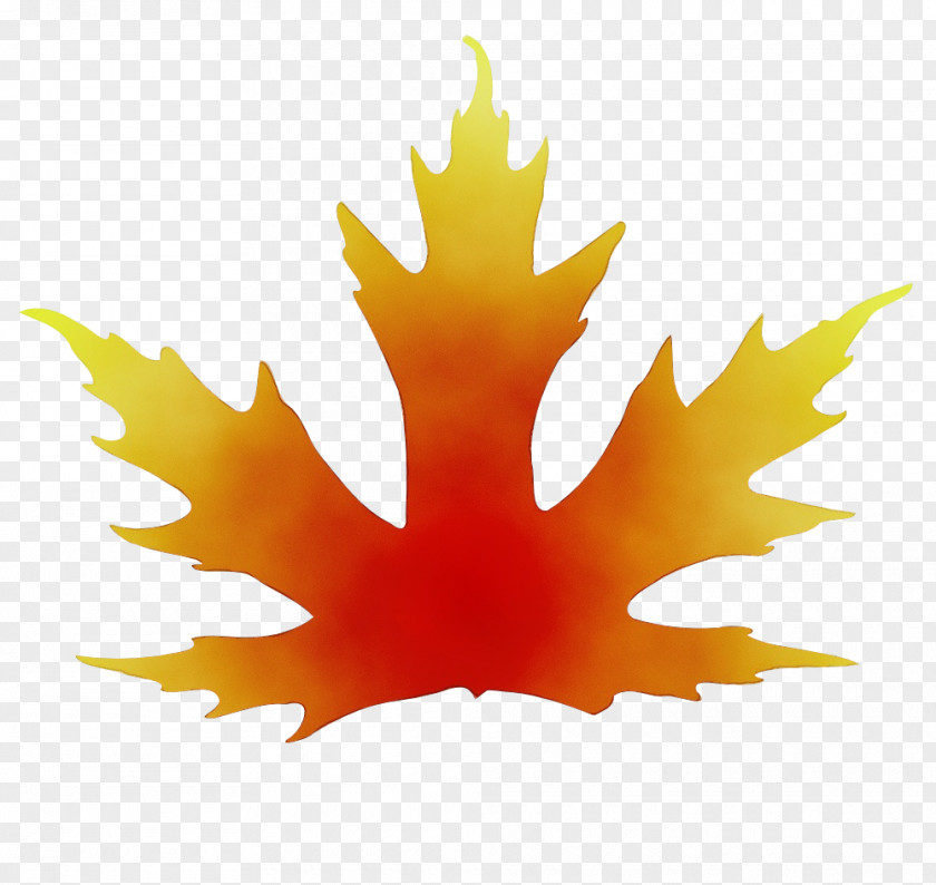 Plant Plane Autumn Leaf Drawing PNG