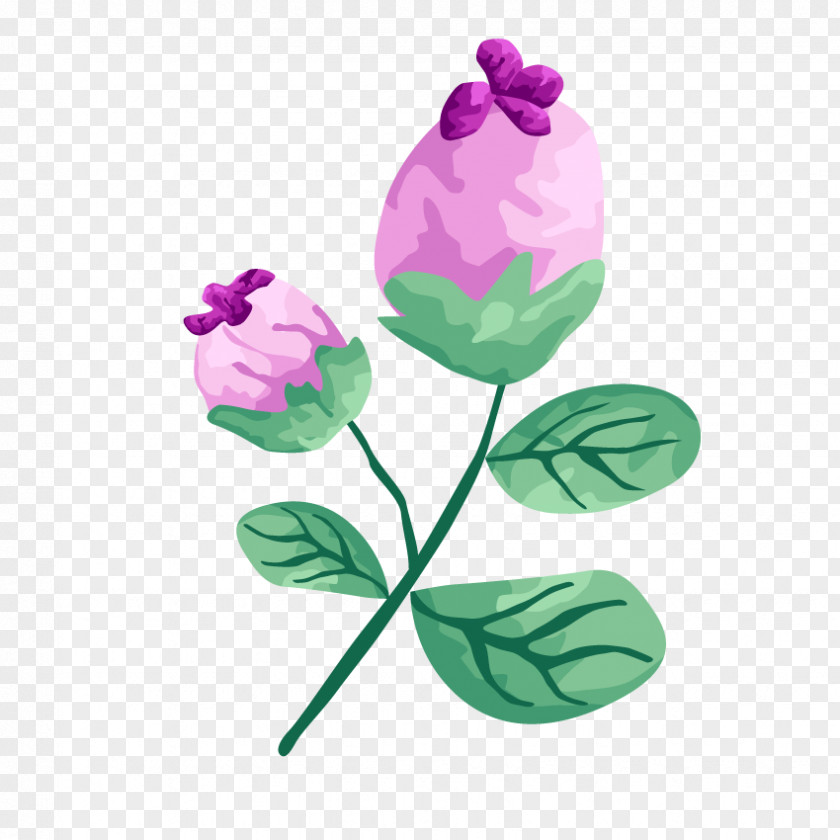 Rose Plant PNG