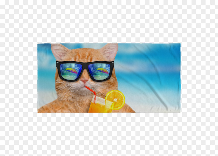 Beach Towel Cat YouTube Fotolia PNG