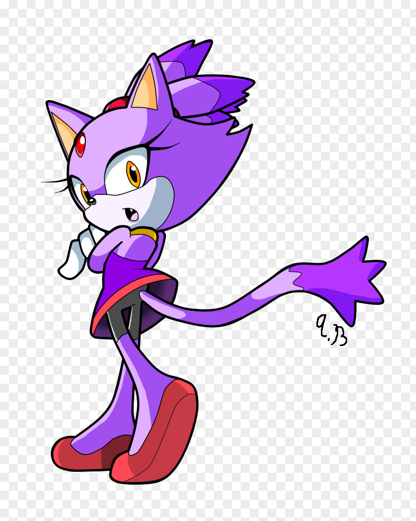 Blaze Sonic The Hedgehog Rush Knuckles Echidna Cat Amy Rose PNG