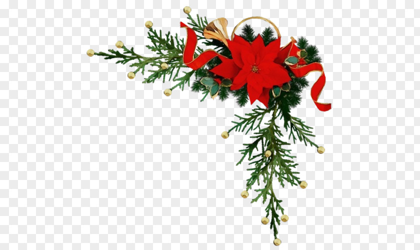 Christmas Ornament Fir Decoration PNG