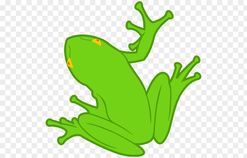 Frog Clipart Amphibian Clip Art PNG